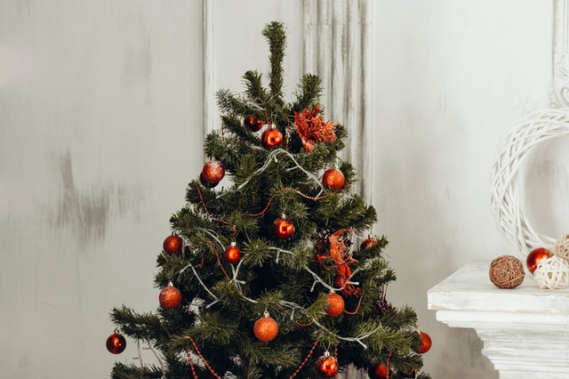 qué hacer para que el árbol de navidad dure más
