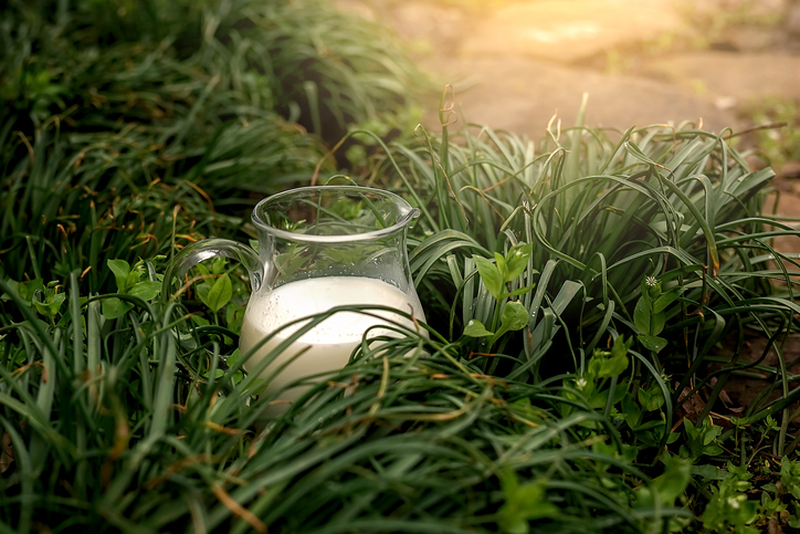 cómo beneficia la leche al cuidado de las plantas