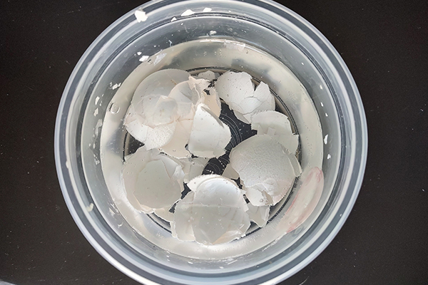 Cascarones de huevo en agua
