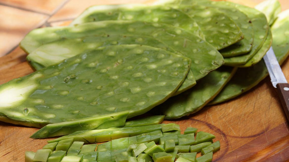 Nopal contra la diabetes y el colesterol