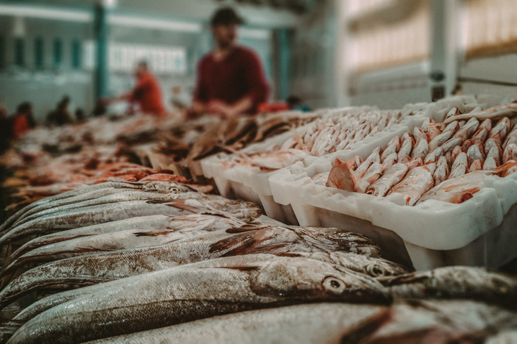 dónde comprar pescado fresco y mariscos en la cdmx para cuaresma