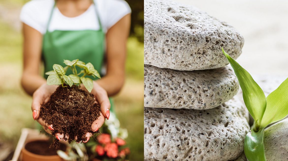 Sustrato para plantas