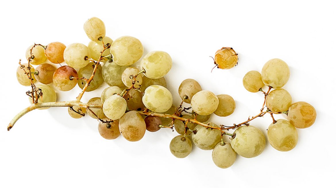 Cómo evitar que las uvas se pudran