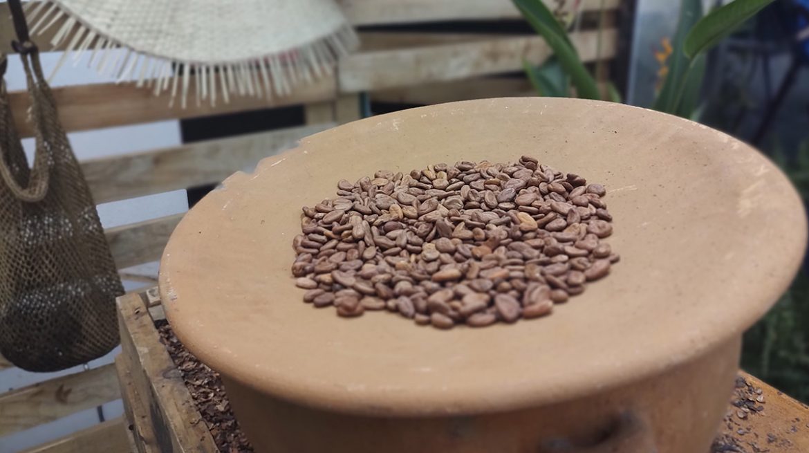 Festival del Chocolate de Tabasco conoce todos sus detalles