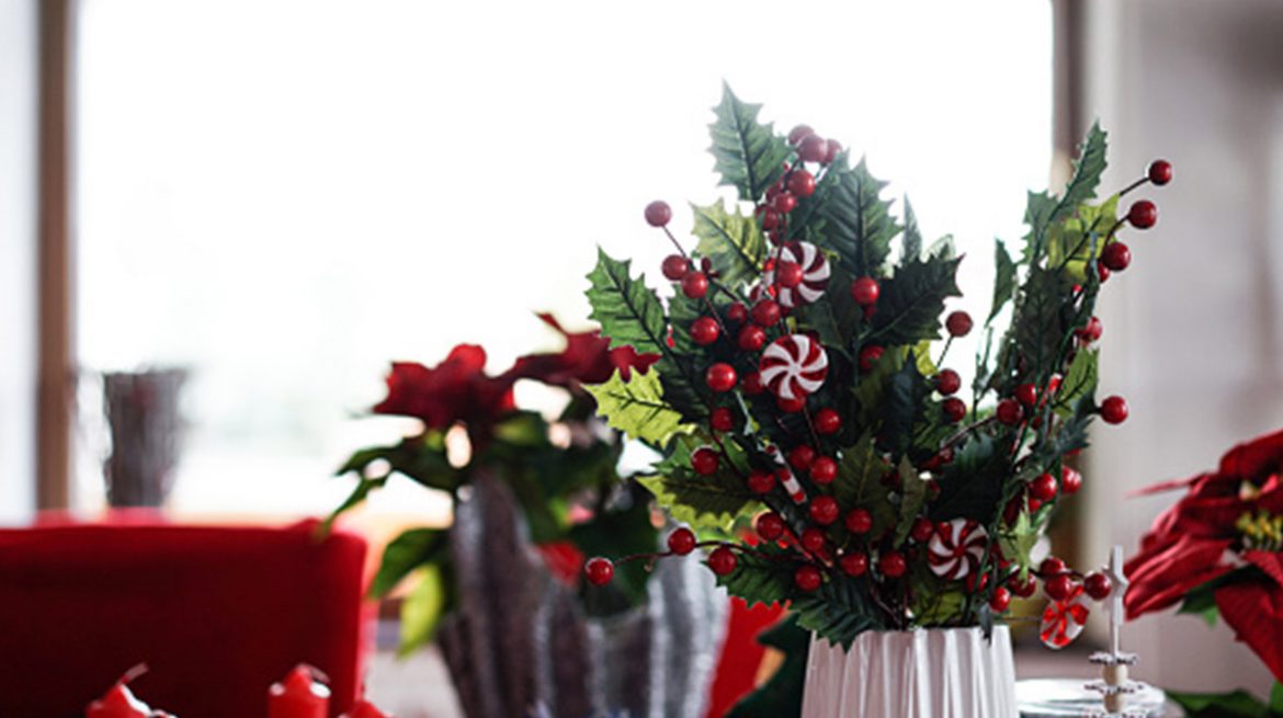 Plantas y flores navideñas