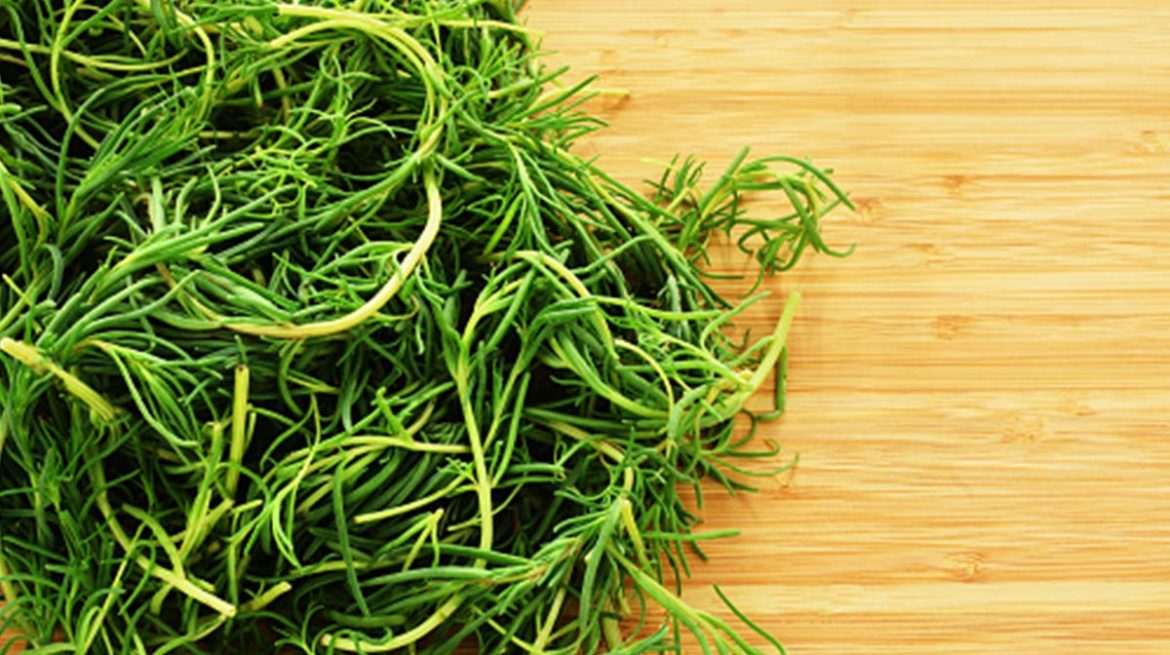 Cómo hacer romeritos